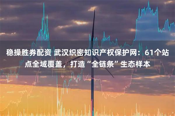稳操胜券配资 武汉织密知识产权保护网：61个站点全域覆盖，打造“全链条”生态样本