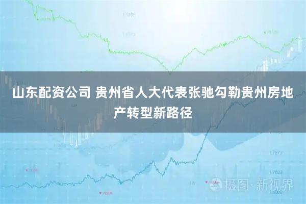 山东配资公司 贵州省人大代表张驰勾勒贵州房地产转型新路径