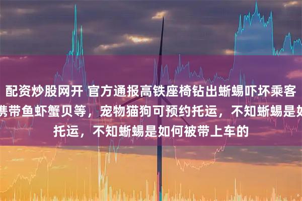 配资炒股网开 官方通报高铁座椅钻出蜥蜴吓坏乘客,12306:可携带鱼虾蟹贝等,宠物猫狗可预约托运,不知蜥蜴是如何被带上车的