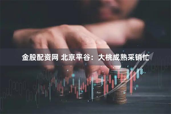 金股配资网 北京平谷:大桃成熟采销忙