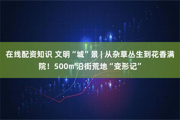 在线配资知识 文明“城”景 | 从杂草丛生到花香满院！500㎡沿街荒地“变形记”