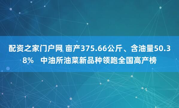 配资之家门户网 亩产375.66公斤、含油量50.38%   中油所油菜新品种领跑全国高产榜